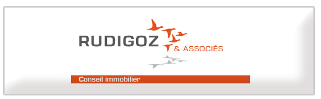 logo Rudigoz